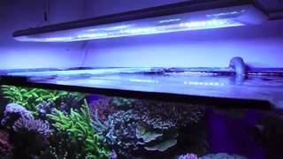 Giesemann Futura LED Aquarium Fixture Highlights [upl. by Enia836]