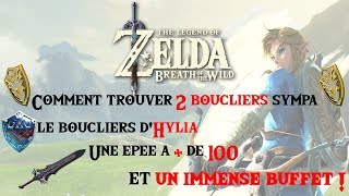 Astuces pour 2 boucliers le bouclier dHylia 1 épée  de 100 et un buffet  Zelda BOTW [upl. by Einimod819]