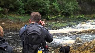 Alaska Photo Expedition Bear Photography [upl. by Ahsiket854]