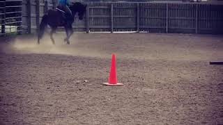 Goose  More Gridwork at Elisa Wallace Eventing Clinic [upl. by Maclean941]