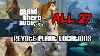 GTA 5 All 27 Peyote Plant Locations  Every Peyote Plant Location Guide [upl. by Ynez]