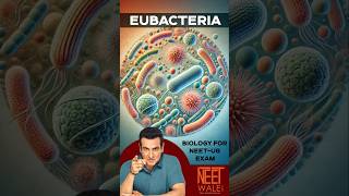 Eubacteria  Biological Classification  Kingdom Monera  Class 11th NEET BIOLOGY  neet biology [upl. by Lukasz]