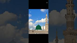 ❤🕋🌺Dariya dariya basti basti🌹shortsvideosubscribeviral pizz🌹🌹 [upl. by Fidole756]