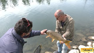 MONDO PESCA  PESCA DI PRIMAVERA  MONTANASO LOMBARDO LODI  CANALE BELGIARDINO  pescasportiva [upl. by Tenner343]