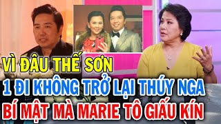 Hé lộ lý do THẾ SƠN rời bỏ trung tâm Thúy Nga PBN khi đang ở đỉnh cao bí mật mà Marie Tô giữ kín [upl. by Cassiani]