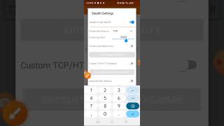 How to set up anonytun VPN 2024 [upl. by Kaiser998]