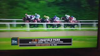 Lingfield Derby Trial 2018 Knight to behold [upl. by Agustin374]