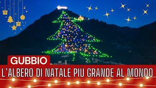 LAlbero di Natale di Gubbio il più grande al Mondo🎄🌟 [upl. by Oballa]