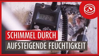 Ursachen von Feuchtigkeit und Schimmel Kapillar aufsteigende Feuchtigkeit [upl. by Porty438]