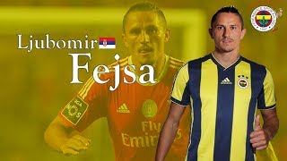 Ljubomir Fejsa  Fenerbahce  Goals Skills Assists [upl. by Virgina]