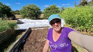 Sourdough sandwich bread and garden prep [upl. by Nagaek590]