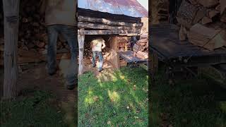 Stacking wood under the barn [upl. by Fe]