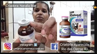 Catosal B12 Vitamina pras Galinhas e Aves [upl. by Nnylyaj]