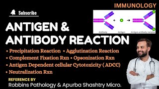 Antigen amp Antibody Reaction  Agglutination  Precipitation  Complement Fixation  Opsonization [upl. by Osicran657]