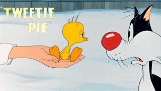 Tweetie Pie 1947 Merrie Melodies Cartoon Short Film  Sylvester as Thomas  Review [upl. by Lisan]