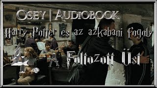 Harry Potter és az azkabani fogoly hangoskönyv remake  4 fejezet [upl. by Salamone]