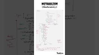 Metabolism  Metabolism Biochemistry  CSIR NET life science metabolism biochemistry csirnet [upl. by Victoir]