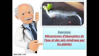 exercices mécanismes dabsorption de leau et des sels minéraux chez les plantes [upl. by Anileme]