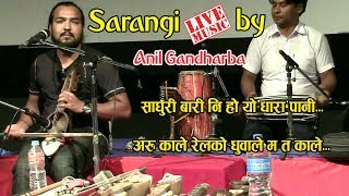 Great Nepali songs in Sarangi Music by Anil Gandarbha [upl. by Maffa34]