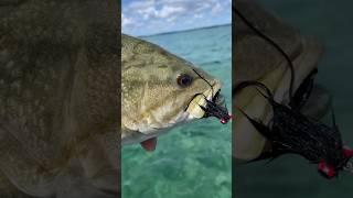 Chocklett Factory Bugger Changer on Grand Traverse Bay for smallmouth bass on the fly rod [upl. by Barbee]