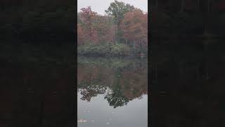 Relaxing by Laurel lake Breaks Interstate Park Breaks VA [upl. by Sherourd]