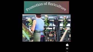 promotion of floriculture [upl. by Astraea328]