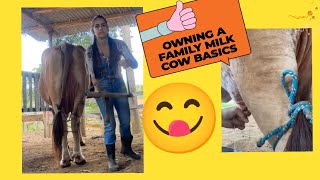 cow milking by hand beautiful girl ❤️cow milking village life vlog [upl. by Nuyh527]