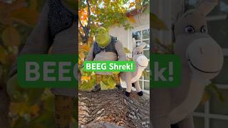 Have You Seen McFarlane Toys’ NEW Shrek Figures [upl. by Ainat219]