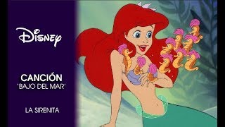 La Sirenita  Canción Bajo el mar  Disney Oficial [upl. by Nims]