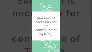 Selenium and Hashimotos  Whitney Morgan Nutrition [upl. by Orecul77]