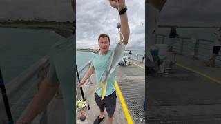 fishing bait shark badfish fish baitandwait ocean bigbaits tuna catchandrelease [upl. by Siddon]