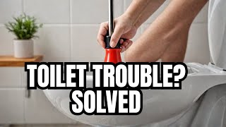 How to Clear a Blocked Toilet or Drain YOURSELF [upl. by Analihp258]