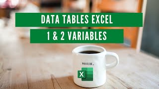 Excel Data Table Whatif Analysis with Multiple Variables [upl. by Santini]