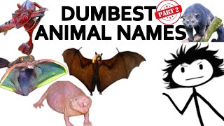 The Worst Animal Names on Planet Earth  Part 2 [upl. by Homans]