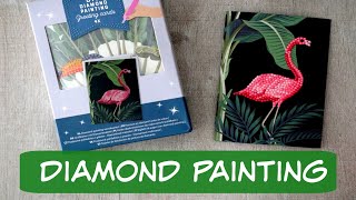 Kit Carte Diamond Painting de chez Action [upl. by Enywad]