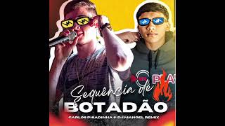 SEQUÊNCIA DE BOTADÃO  CARLOS PISADINHA amp DJ MANOEL REMIX [upl. by Atiuqehs]