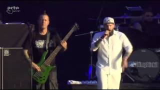 Limp Bizkit  Live Hellfest 2015 [upl. by Leake]