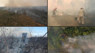 Mudança climática abriu caminho para incêndios recordes no Pantanal brasileiro  AFP [upl. by Tan]