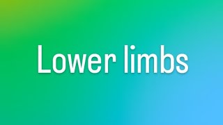 lower limbs viral trending YouTube [upl. by Kalvin738]