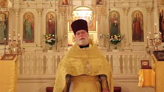 Orthodox Sermon  Nourish your heart [upl. by Yatnoed]