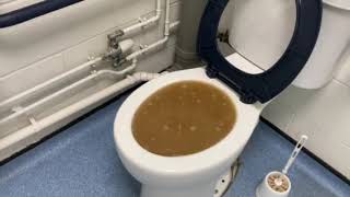 Flooding toilet [upl. by Ativahs]