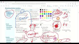 Blood transfusion reactions and autoantibodies  Immunology  First Aid Lectures  Lec26 drjamil [upl. by Adolphe]