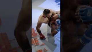 Fighter ATTACKS Referee After Late Stoppage [upl. by Hakaber793]