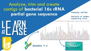 How to correctly analyze raw sequence files of bacterial 16s rRNA partial gene sequence [upl. by Hum44]