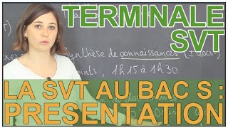 Lépreuve de SVT au bac S  présentation générale  SVT  Terminale  Les Bons Profs [upl. by Ahtebat]