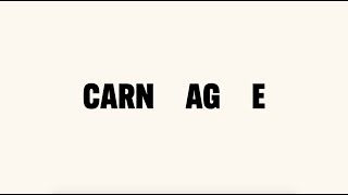 Nick Cave amp Warren Ellis  Carnage Official Lyric Video [upl. by Boaten]