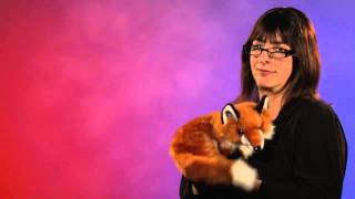 Folkmanis® Red Fox Puppet Demo [upl. by Oznofla]