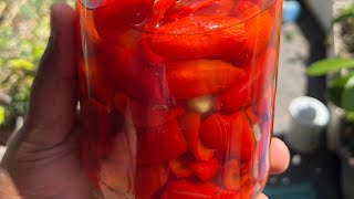 Easy Peppadew Recipe [upl. by Naujej]