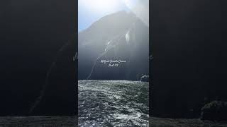 Milford Sounds Cruise  part 23 aesthetic travelling newzealand holiday sub 🤍🤍🤍 [upl. by Perkoff82]