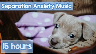 EXTRALONG Relaxing Music for Dogs AntiAnxiety Playlist [upl. by Chancey]